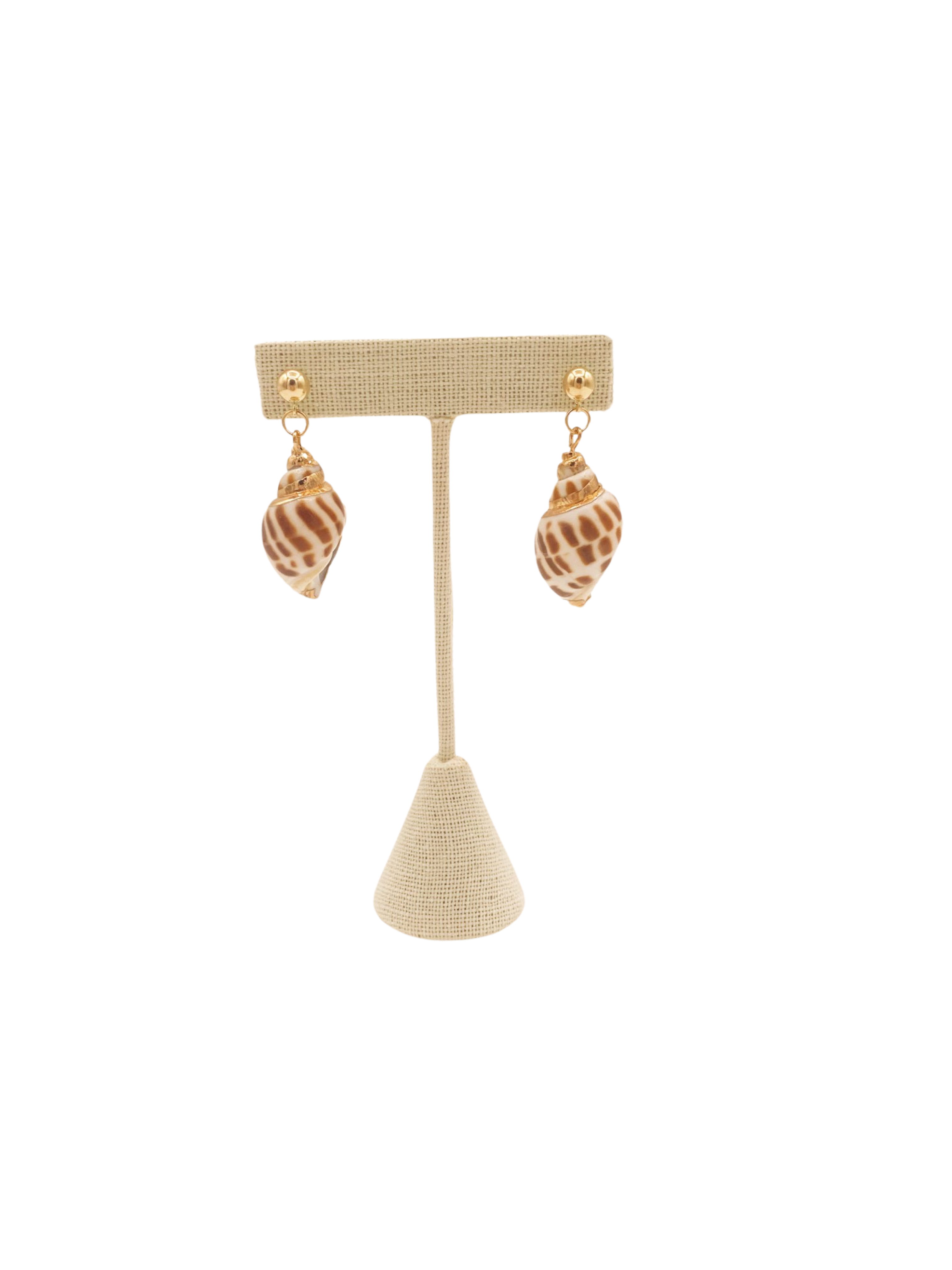 Shell Earrings